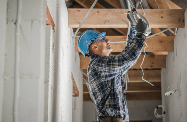 Best Electrical System Inspection  in Minneola, FL