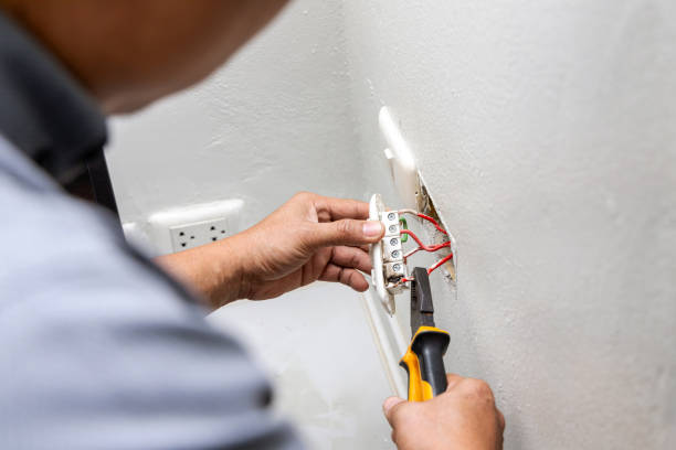 Best Outdoor Lighting Installation  in Minneola, FL
